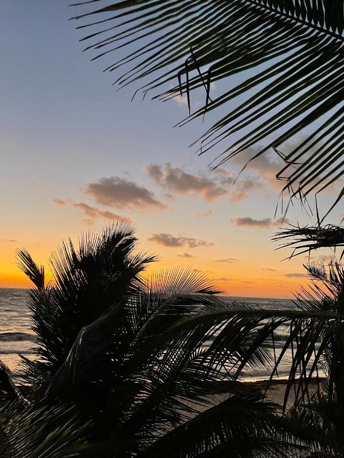 Chavez Eco Beach Camping And Cabanas Τουλούμ Εξωτερικό φωτογραφία