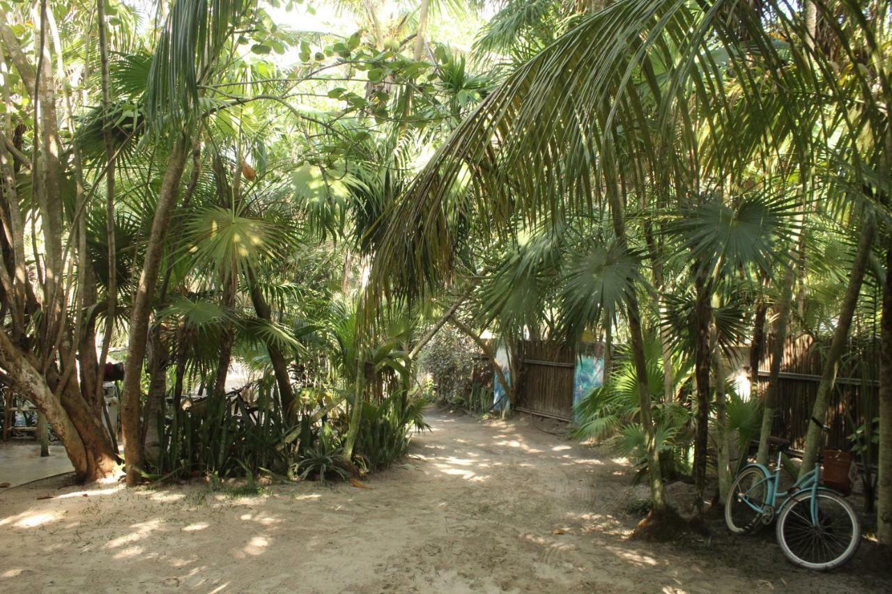 Chavez Eco Beach Camping And Cabanas Τουλούμ Εξωτερικό φωτογραφία